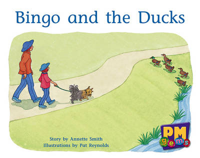 Book cover for Bingo and the Ducks