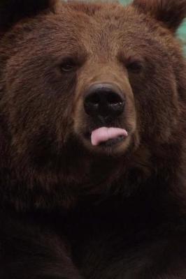 Book cover for Brown Grizzly Bear Sticking Out His Tongue Journal