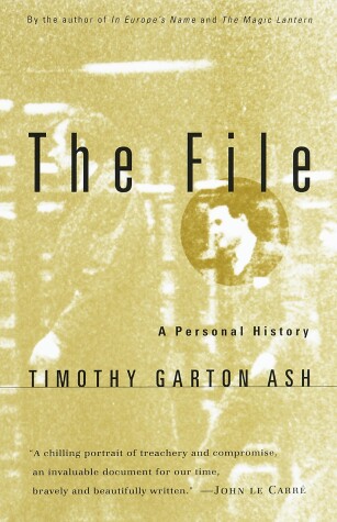 Book cover for The File