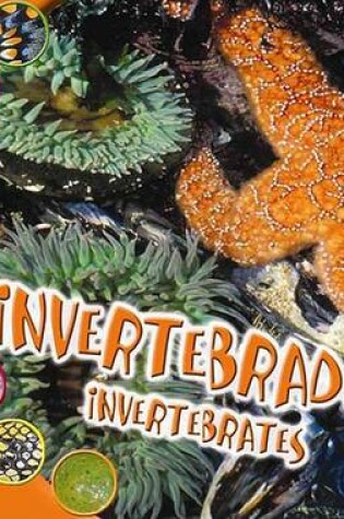 Cover of Invertebrados (Invertebrates)