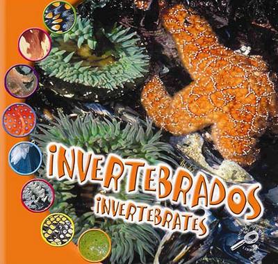 Book cover for Invertebrados (Invertebrates)