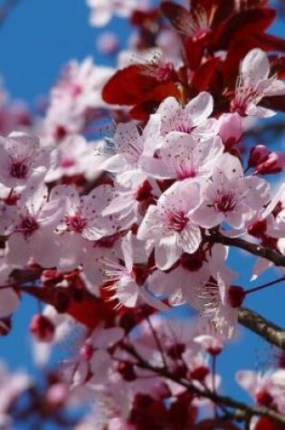 Cover of Almond Blossoms and Blue Skies Journal