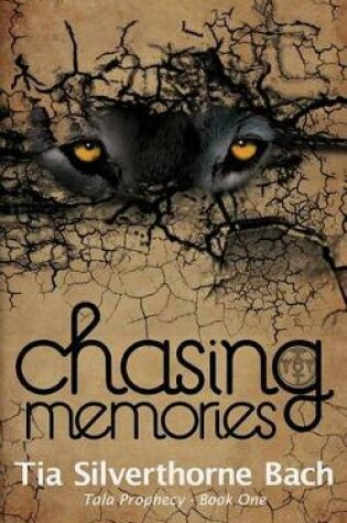 Cover of Chasing Memories