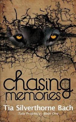 Cover of Chasing Memories