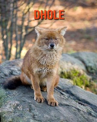 Book cover for Dhole