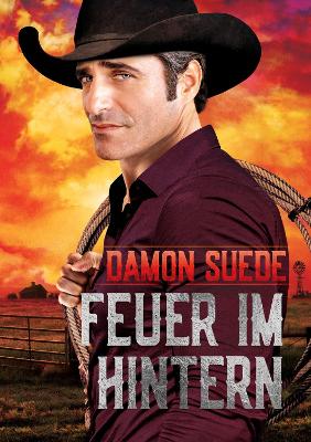 Book cover for Feuer im Hintern