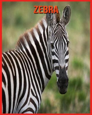 Book cover for Zebra