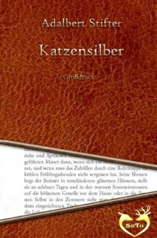 Cover of Katzensilber - Grossdruck