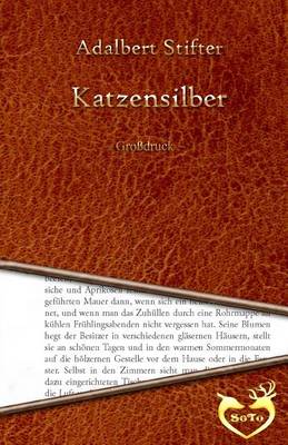 Book cover for Katzensilber - Grossdruck