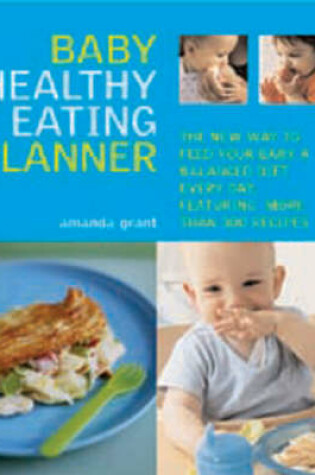 Cover of The Baby Healthy Eating Planner
