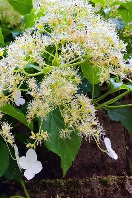 Cover of 2019 Daily Planner Small White Flowers Green Leaves 384 Pages