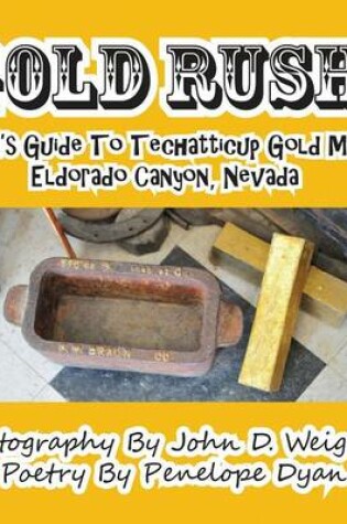 Cover of Gold Rush! A Kid's Guide To Techatticup Gold Mine, Eldorado Canyon, Nevada