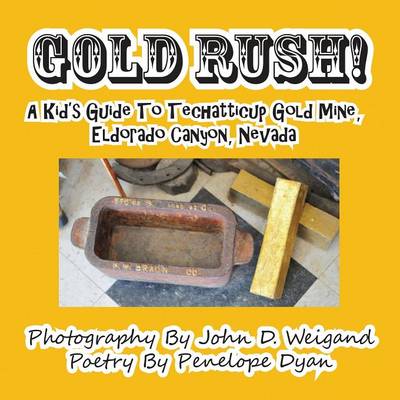 Book cover for Gold Rush! A Kid's Guide To Techatticup Gold Mine, Eldorado Canyon, Nevada
