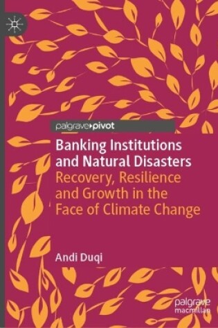 Cover of Banking Institutions and Natural Disasters