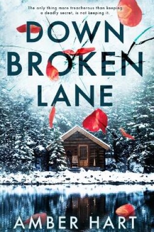 Cover of Down Broken Lane