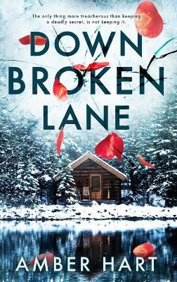 Book cover for Down Broken Lane