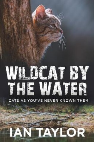 Cover of Wildcat By The Water