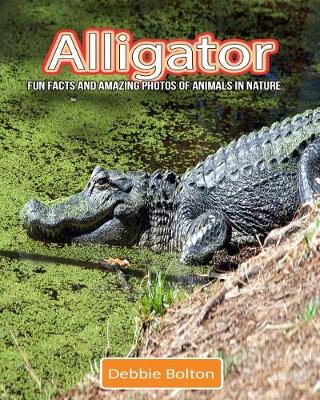 Book cover for Alligator