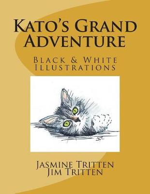 Book cover for Kato's Grand Adventure (B&W Illustrations)