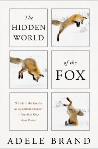 Cover of The Hidden World of the Fox