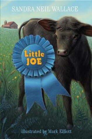 Cover of Little Joe