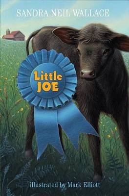 Book cover for Little Joe