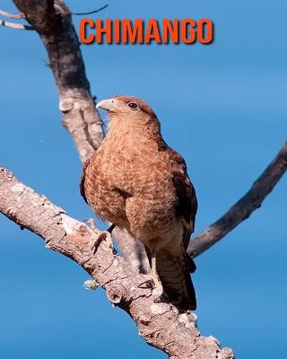 Book cover for Chimango