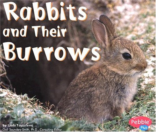 Book cover for Rabbits and Their Burrows