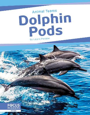 Book cover for Animal Teams: Dolphin Pods