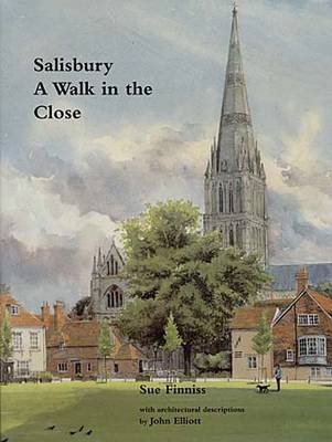 Book cover for Salisbury