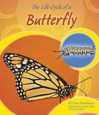 Book cover for The Life Cycle of a Butterfly