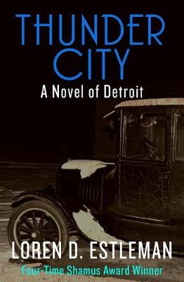 Book cover for Thunder City