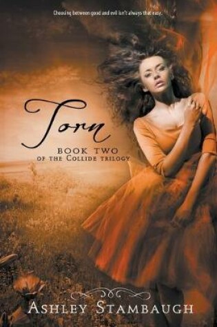 Cover of Torn