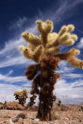 Book cover for Desert Cactus Journal