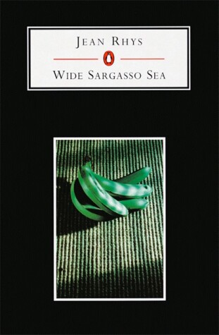 Book cover for Penguin Student Edition Wide Sargasso Sea