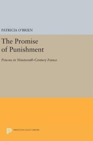 Cover of The Promise of Punishment