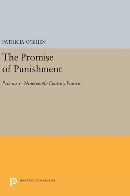 Book cover for The Promise of Punishment