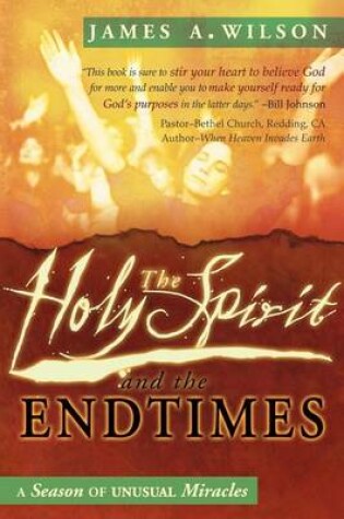Cover of The Holy Spirit and the Endtimes