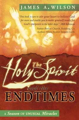 Book cover for The Holy Spirit and the Endtimes