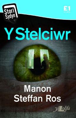 Book cover for Stori Sydyn: Y Stelciwr