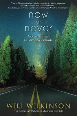 Book cover for Now or Never