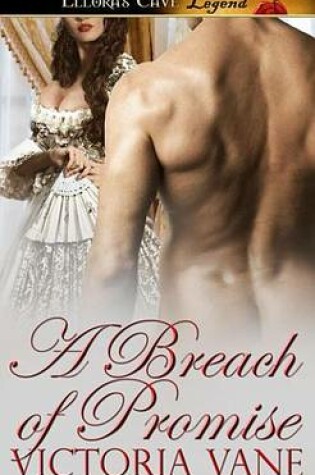 Cover of A Breach of Promise