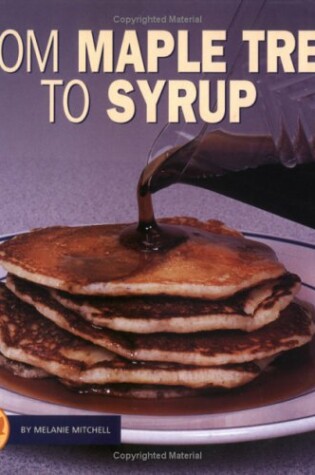 Cover of From Maple Tree to Syrup