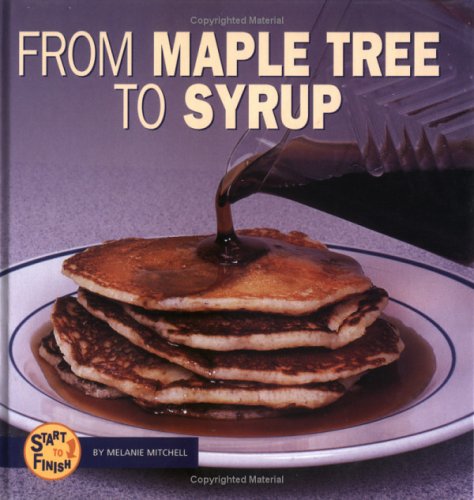 Book cover for From Maple Tree to Syrup