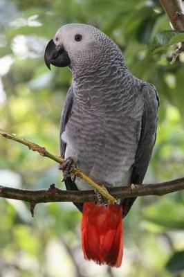 Book cover for African Grey Parrot Journal