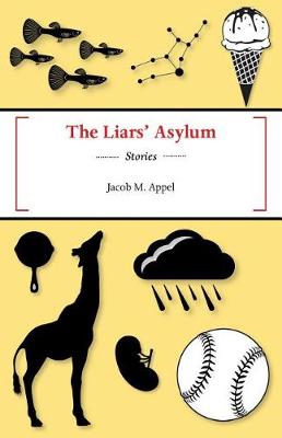 Book cover for The Liars' Asylum