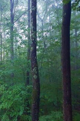 Cover of Journal Woods Foggy Morning