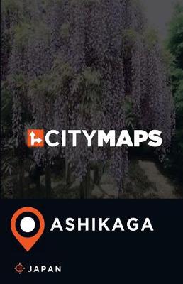 Book cover for City Maps Ashikaga Japan