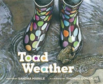 Book cover for Toad Weather
