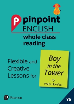 Book cover for Pinpoint English Whole Class Reading Y6: Boy in the Tower